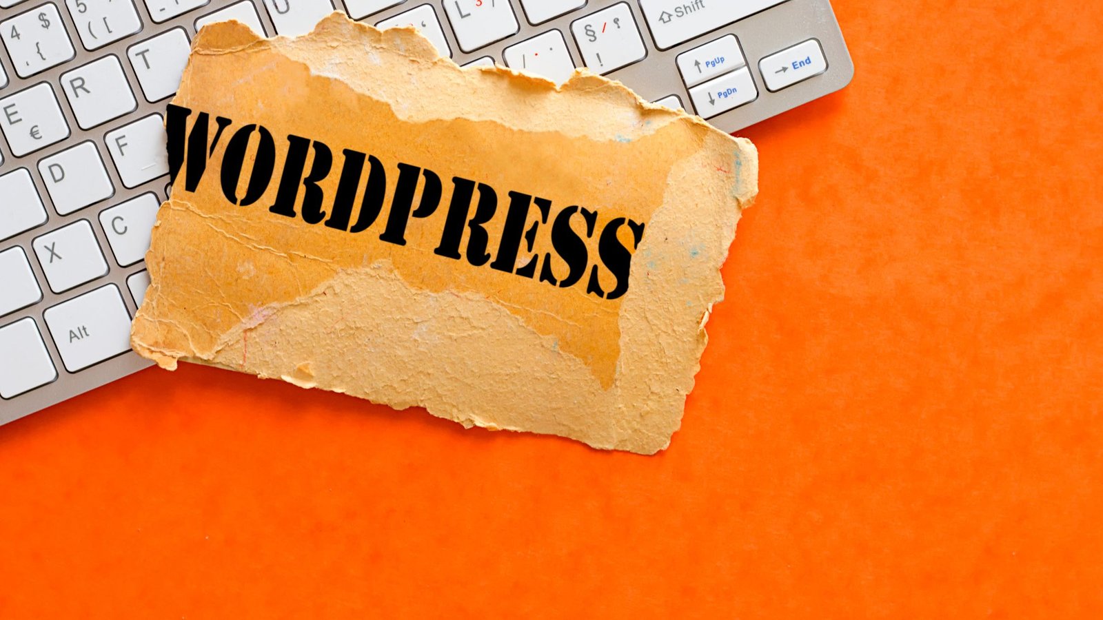 The Top Free WordPress Themes for AdSense Approval